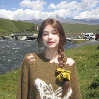 瓦列里·契卡洛夫 在线观看封面