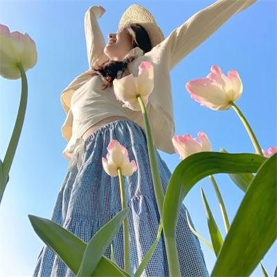 小查与寇弟的顶级冒险 排行榜封面