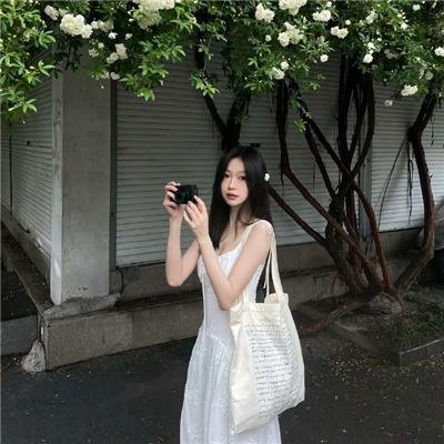 傲娇与偏见 排行榜封面
